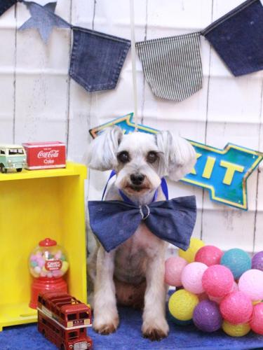 20230414ここちゃん